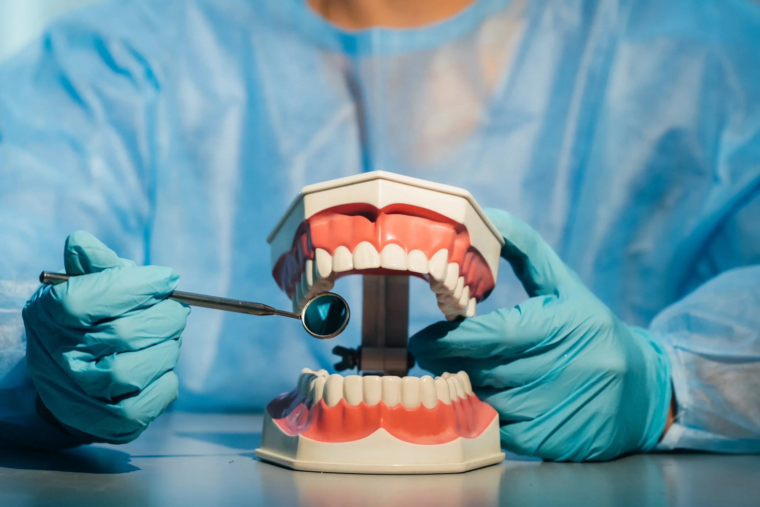 courtiers hypothécaires dental professional examines tooth model with mirr 2026 03 24 21 39 30 utc scaled