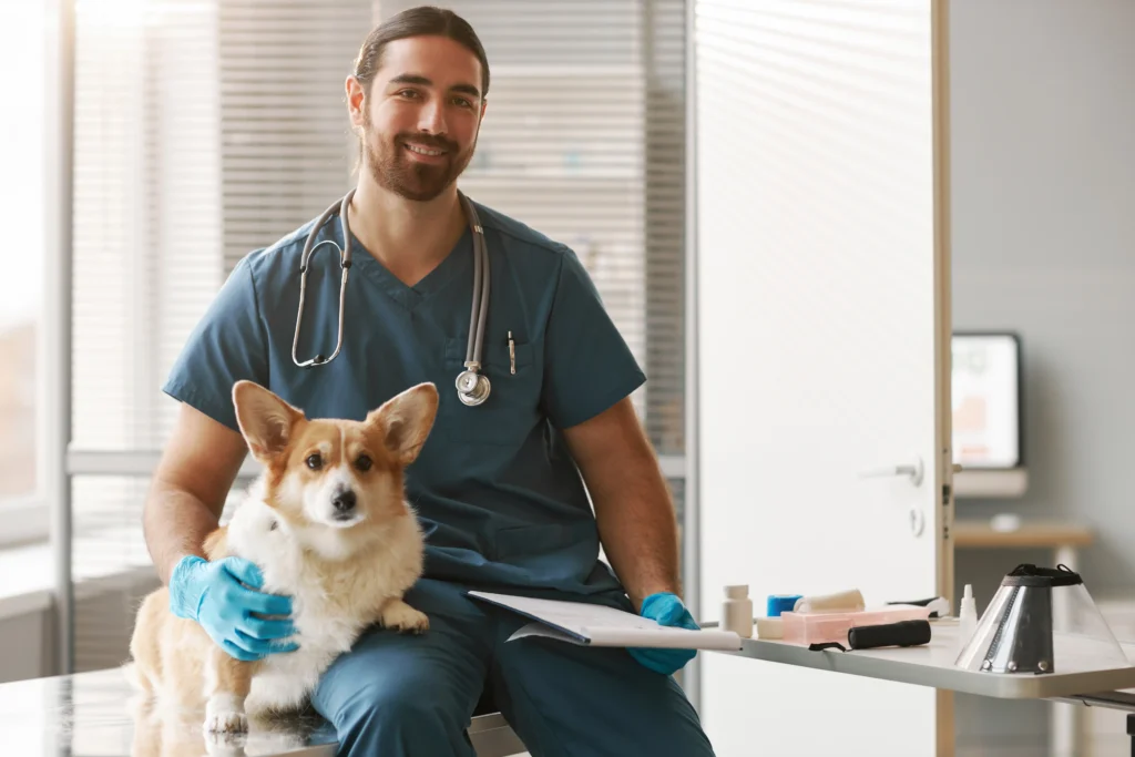prêt hypothécaire vétérinaire male veterinarian comforts dog in clinic exam room 2026 03 20 00 31 10 utc