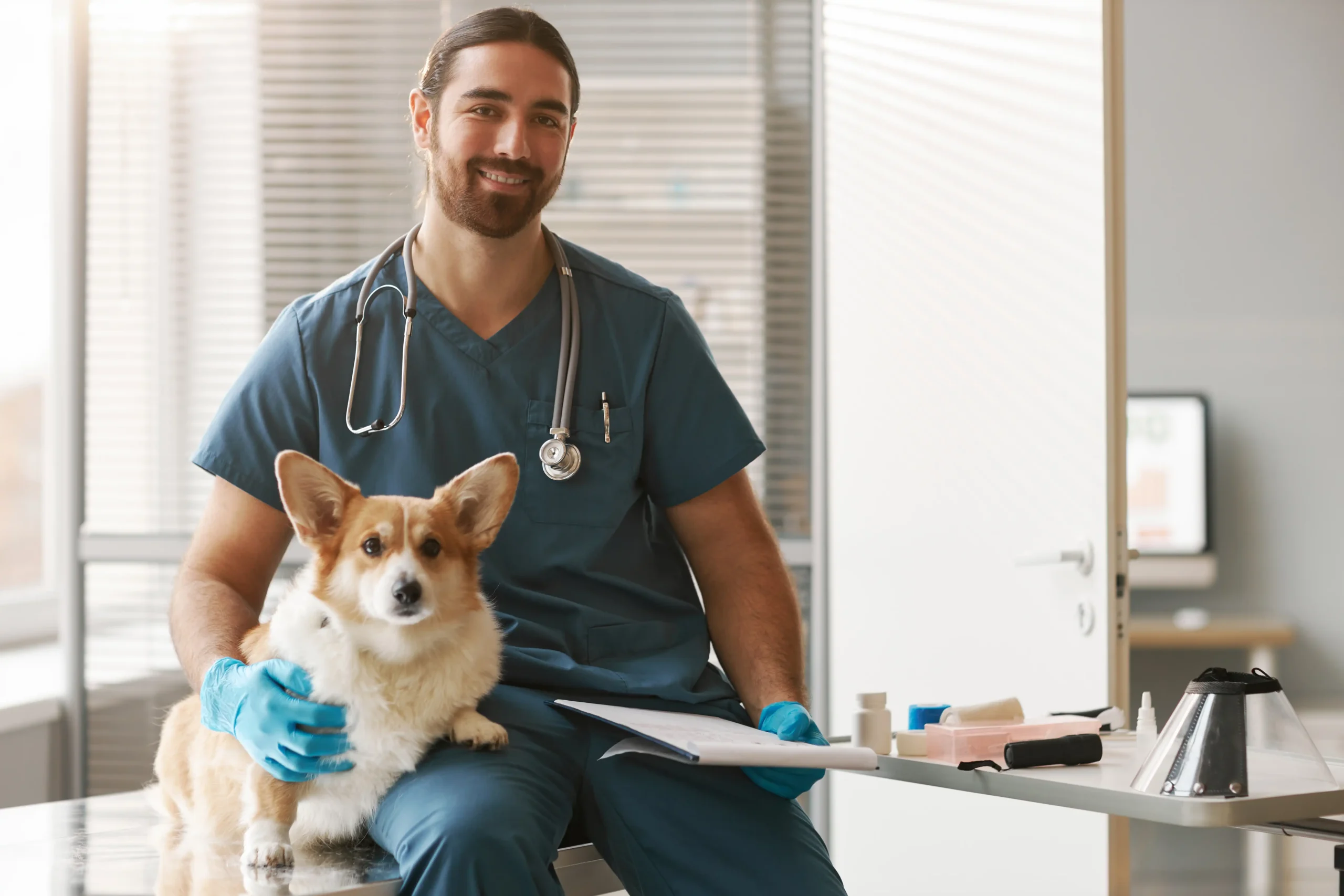 courtiers hypothécaires male veterinarian comforts dog in clinic exam room 2026 03 20 00 31 10 utc scaled
